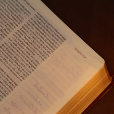 image_cb163280-07ce-4e98-a73d-50545f3e25c3