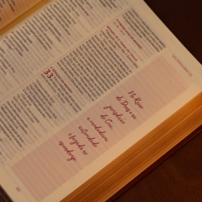 image_e07d98f8-892b-4c10-bb60-dd04b49c4c31