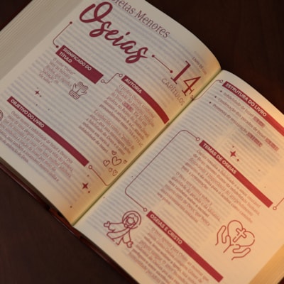 image_21b995a9-e7a2-4b25-860c-c7b58fe2b12e