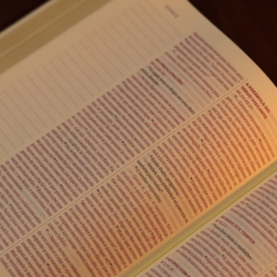 image_1fd62993-0b65-456b-a310-d20ea8b9bcf2