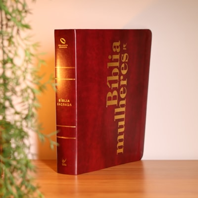 Segunda imagem do produto Bíblia Mulheres | Viviane Martinello | NAA | Espaço Para Anotações | Duas Colunas | Capa Vinho