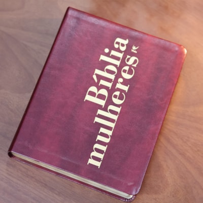 image_03a02c67-1add-4ddb-9d69-5630583179c3