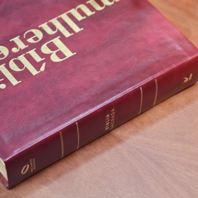 image_d8e1ae4c-189b-4ffd-9885-55524887879f