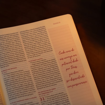 image_7f2e84ca-8e2b-48fb-8f0c-40949fd20f07