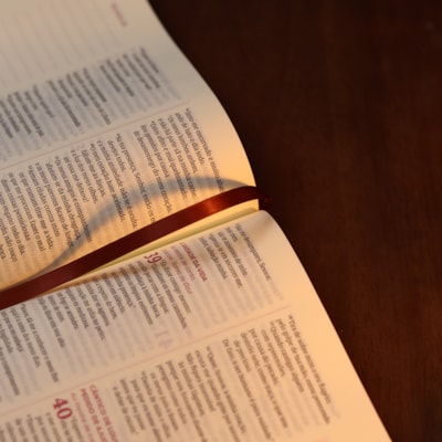 image_cb6acb81-c285-46f1-ba80-52874d081642