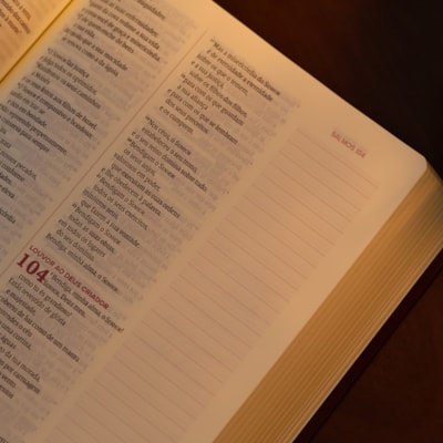 image_19991b1f-66f9-4dfc-8e79-67e51721109d