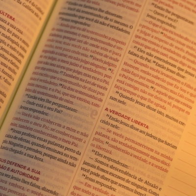 image_7ffc1193-6b3f-4b94-8f6f-607bd8deb8b2