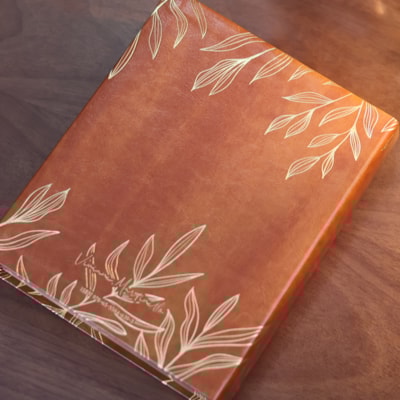 image_731dffa5-1cbc-4eeb-bedb-c4daf1397aa8