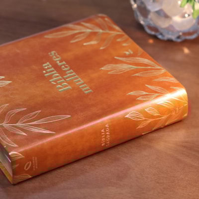 image_79d49a12-ad53-4a73-b293-75227ce4e189