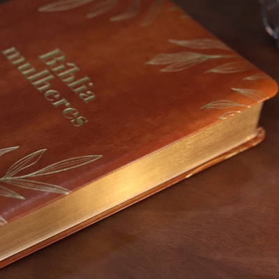 image_ddb85d78-bd8c-403e-a061-883b98efd92d