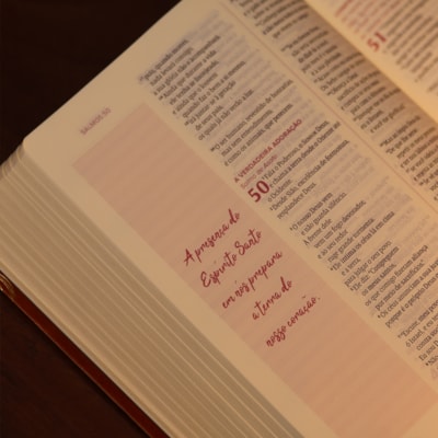 image_73d2450a-5ff6-4f78-8c3e-b73a6e0eba3e