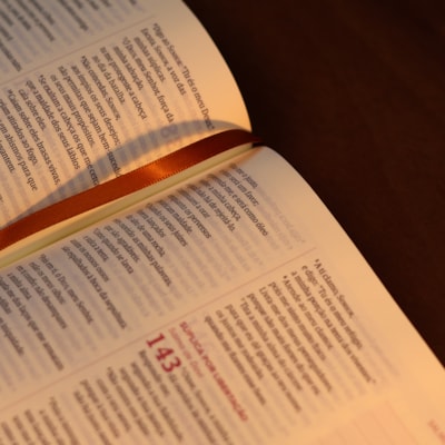 image_05b64b91-73f4-4e2b-89a8-fbd18cd24757