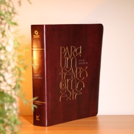 Segunda imagem do produto Bíblia Mulheres | Viviane Martinello | NAA | Espaço Para Anotações | Duas Colunas | Para Um Tempo Como Este