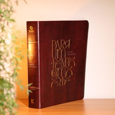 Segunda imagem do produto Bíblia Mulheres | Viviane Martinello | NAA | Espaço Para Anotações | Duas Colunas | Para Um Tempo Como Este