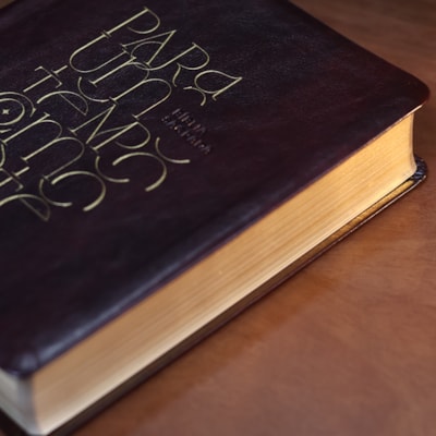 image_26369b05-336a-4f44-b810-faf53d682953