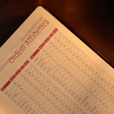 image_47b58654-5cee-44a2-915b-868021c16a1c