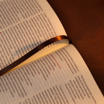 image_29711a3a-d5e4-4359-96cb-7bdd420e2835