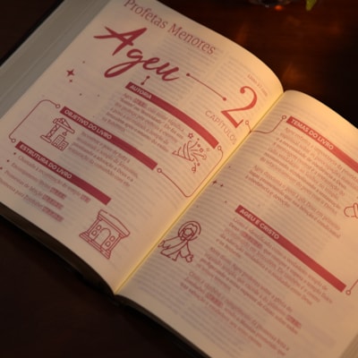 image_94f3f5f5-7291-47d2-98b7-010755890688