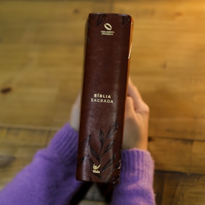 image_705c7c94-b5e0-4d2e-9dce-6609ed888908