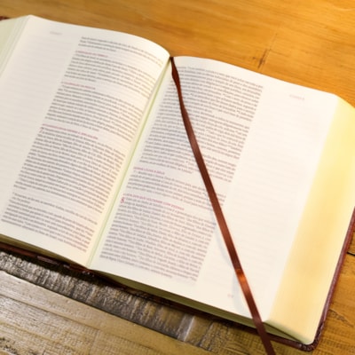 image_c2330dcb-7f95-4b10-b308-8660576ce4fb