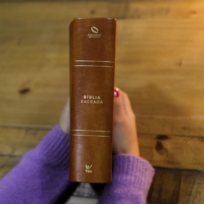 image_4478e98d-1825-4f03-939c-b102e50b9170