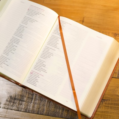 image_41ceff4f-eae5-42af-b024-6692eea764dd