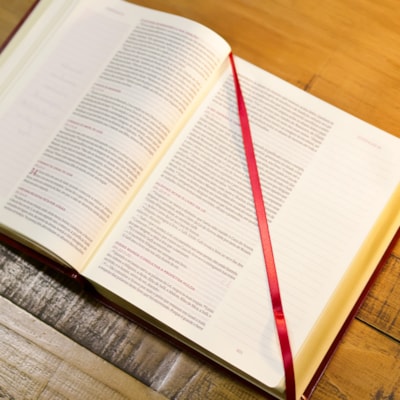 image_979d30f3-b31b-46d7-8da1-709f1e876502