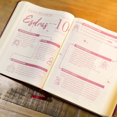 image_93a2e54e-0151-4cb4-be49-831e69d6acb9