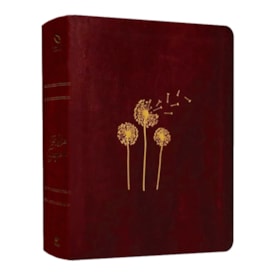 Bíblia Mulheres | Viviane Martinello | NAA | Espaço Para Anotações | Sopro Divino