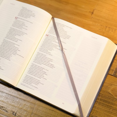 image_6916f942-06af-4040-bb25-26ad7465a051