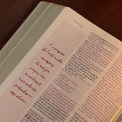 image_83ea796e-dbaa-45b0-8138-f3fa03d128ca