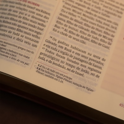 image_38eda8dc-67ce-420b-91c3-ed9c38c03c6b