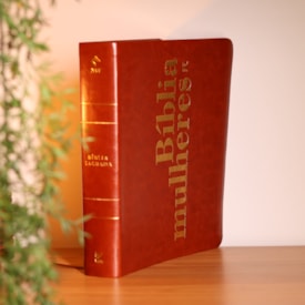 Segunda imagem do produto Bíblia Mulheres | Viviane Martinello | NVT | Espaço Para Anotações | Capa Luxo Marrom