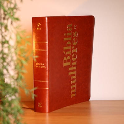 image_69dc7e0c-63de-4189-9b1d-c44be8d44fb6