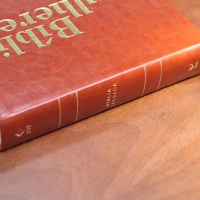 image_a5dd04e0-1bfa-4fa8-84e4-2758543d6e36