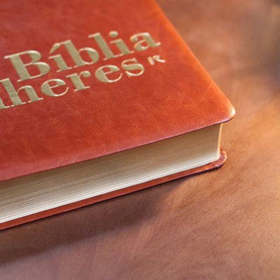 image_759381df-e353-4fbd-b317-d4a3644a80f2