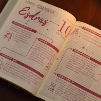 image_c23662c8-6c01-420a-822f-d33ea8efd2e1