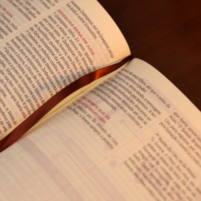 image_c01ff113-5f9d-4a17-b202-3f50e4686946