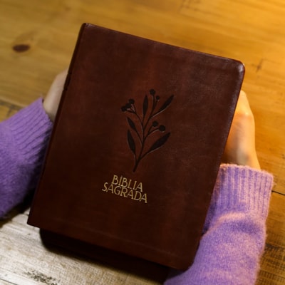 Segunda imagem do produto Bíblia Mulheres | Viviane Martinello | NVT | Espaço Para Anotações | Capa Luxo Oliveira Marrom