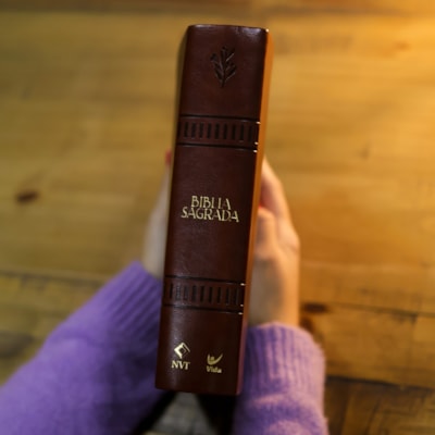 image_9ed9ae60-d5c1-4dc9-b11e-33546e2841e4