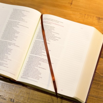 image_2aa84275-dfa4-498c-9e45-462c1f94218b