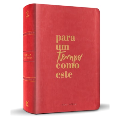 Imagem Principal - ae93f405-c6fe-4978-9dce-da00efe1ec8d
