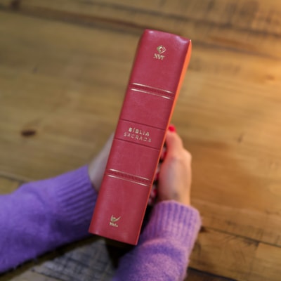 image_53496ab3-baa2-4bf8-a834-dca62760802e