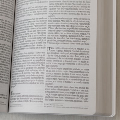 image_5f38b56e-84f7-4cfc-827a-8a2e8ccd280f