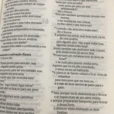 image_e9fd51e8-1781-4bb5-bfef-09f430af9639