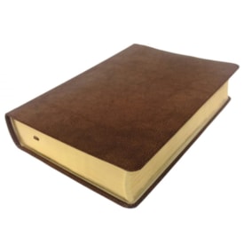 Segunda imagem do produto Bíblia Nova Reforma | NVI | Letra Normal | Capa Couro Ecológico