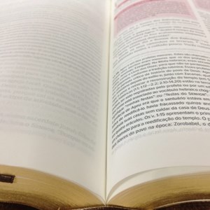 Bíblia Nova Reforma | NVI | Letra Normal | Capa Couro Ecológico