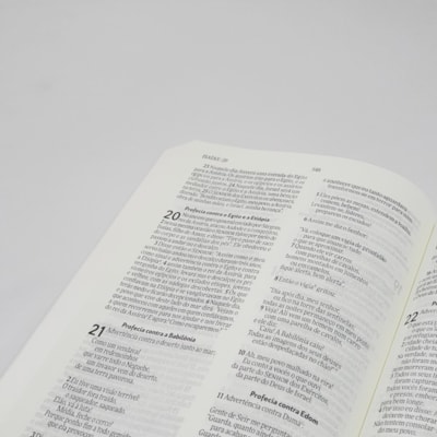 image_9240a3d2-7b16-4899-b02e-4c11fd401237