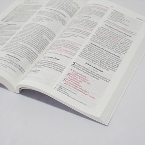 Bíblia NVI | Ele Estará Com Você | Capa Brochura