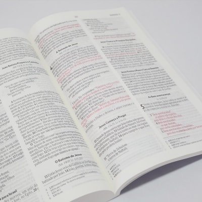 image_1e7d45b0-de4b-4640-bbb0-29b436bb268f